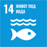 SDG
