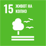SDG